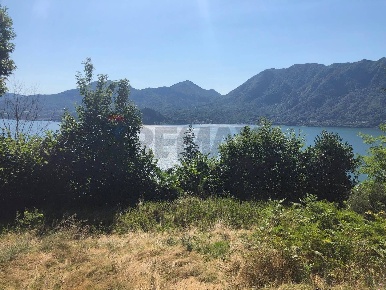 Foto Terreno agricolo a Ghiffa Centro di 7848 m² in vendita