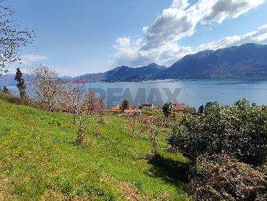 Foto Terreno agricolo a Ghiffa Centro di 7848 m² in vendita