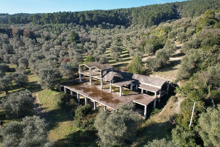 Foto Rustico in Localita valle Croci snc, Peschici di 1230 m² con 20 locali