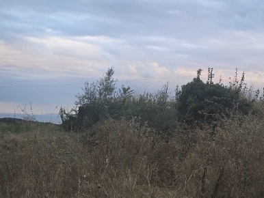 Foto Terreno agricolo in Via Risorgimento 31-33, Camporotondo Etneo