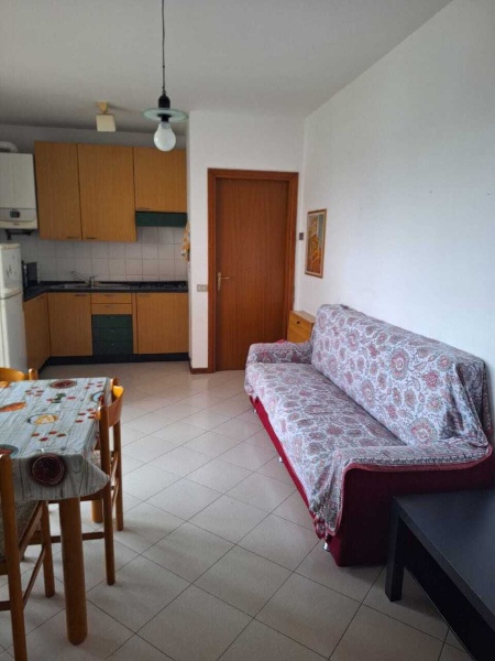 immagine annuncio 3 di 14