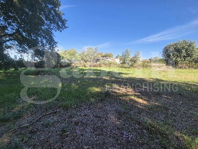 Foto Terreno residenziale in Via Nettunense snc, Anzio Stazione Lavinio