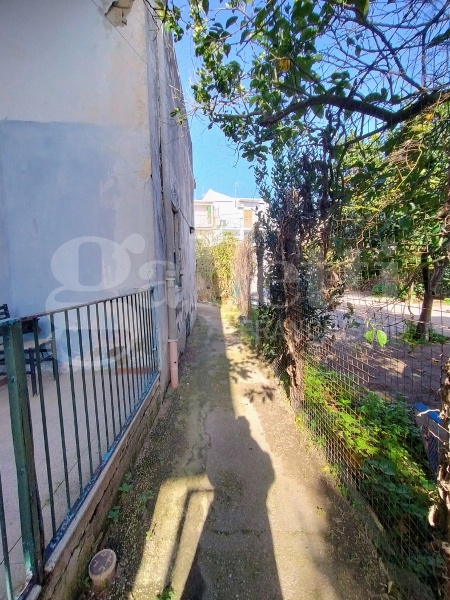 immagine annuncio 3 di 14