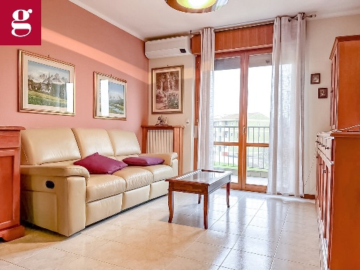 immagine annuncio 0 di 15