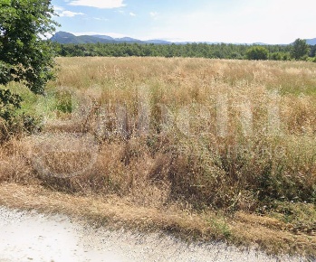 Foto Terreno agricolo in Strada Vicinale Porcina s/n, Colli a Volturno