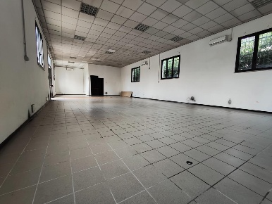 Foto Capannone industriale a Capannori Pieve San Paolo - Santa Margherita