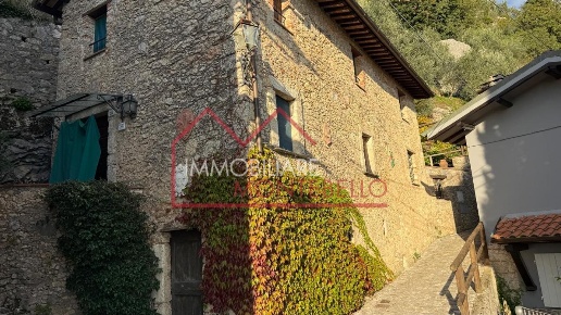 esavano in vendita a Camaiore