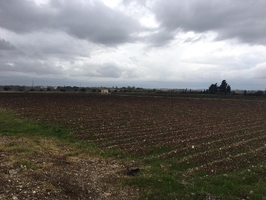 Foto Terreno agricolo a Siracusa Isola di 20000 m² in vendita