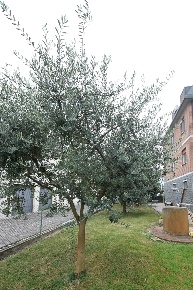 Foto Villa bifamiliare a Campogalliano di 500 m² in vendita