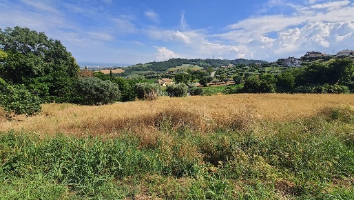Foto Terreno residenziale in contrada San Martino, Colonnella di 3000 m²
