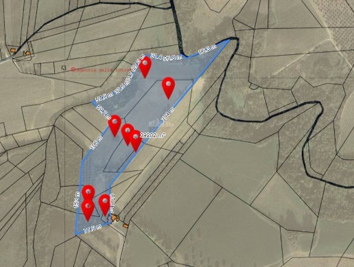 immagine annuncio 10 di 15