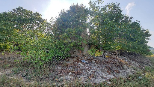 Foto Rustico in Contrada Messieri, Ripatransone di 200 m² con 5 locali