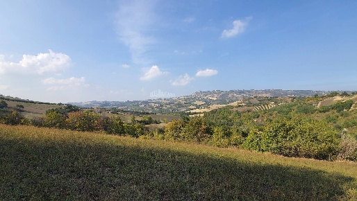 Foto Rustico in Contrada Messieri, Ripatransone di 200 m² con 5 locali