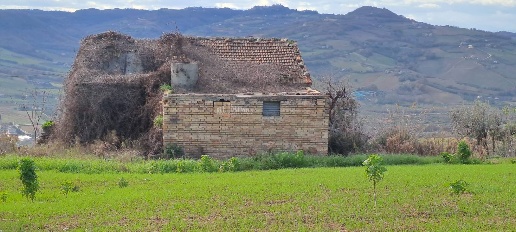 Foto Rustico in contrada san pietro 42, Massignano di 280 m² con 7 locali