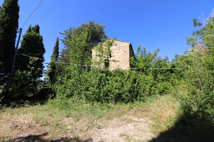 Foto Rustico in Contrada San Rustico, Ripatransone di 250 m² con 1 locali
