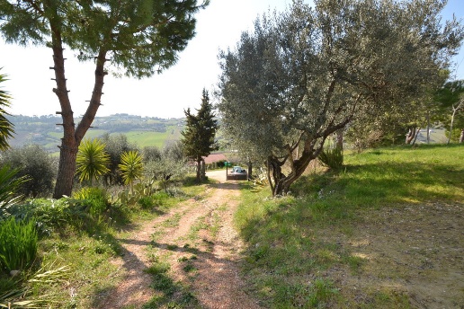 immagine annuncio 5 di 12