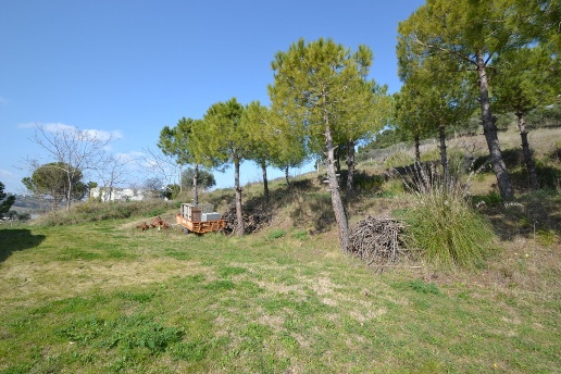 immagine annuncio 9 di 12