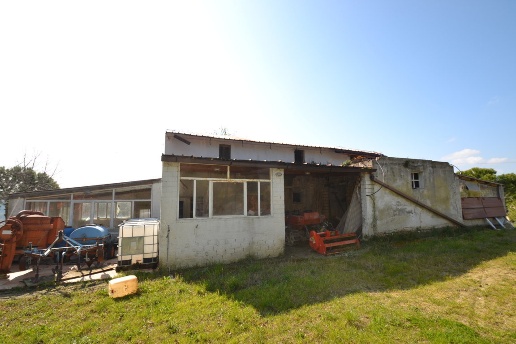 immagine annuncio 11 di 12