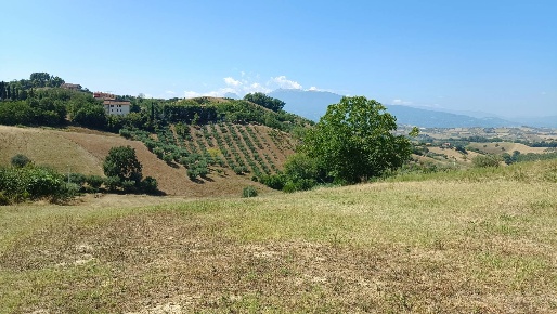Foto Terreno residenziale in strada provinciale 18 snc, Castorano di 625 m²