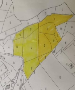 Foto Terreno agricolo in frazione rosara, Ascoli Piceno di 40000 m²