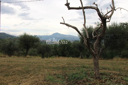Foto Rustico in Zona Galluccio, Folignano di 150 m² con 4 locali in vendita