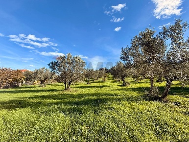 Foto Terreno residenziale in via fonte dell'abbazia, Montesilvano