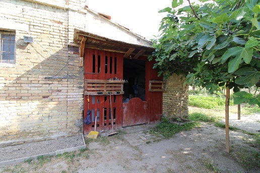 immagine annuncio 5 di 13