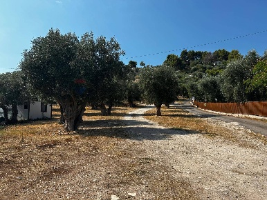 Foto Terreno residenziale in Località Monte Giordano snc, Vieste Marchionna