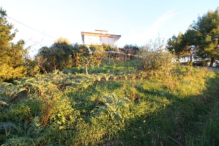 Foto Terreno residenziale in fonte trufo, Massignano Centro di 700 m²