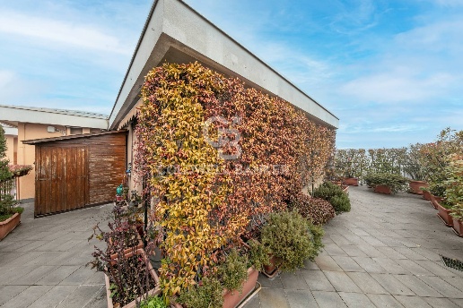 immagine annuncio 10 di 12