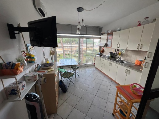 immagine annuncio 0 di 7