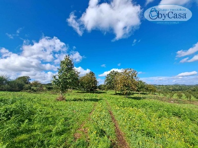 Foto Terreno agricolo in Oriolo Romano, Oriolo Romano di 9520 m² in vendita