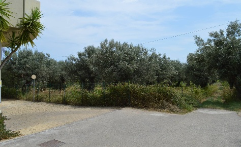 Foto Terreno agricolo in VIA DEL PORTO, Vasto di 2000 m² in vendita