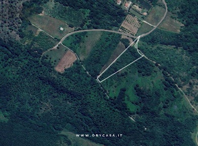 Foto Terreno agricolo in Oriolo Romano, Oriolo Romano di 10330 m²