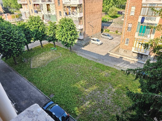 immagine annuncio 9 di 14