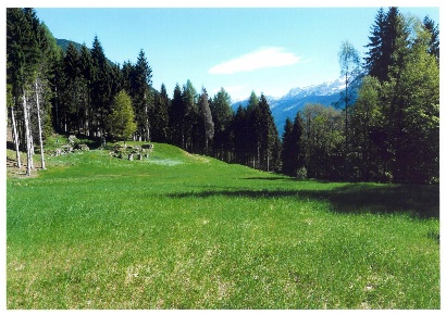 Foto Chalet in Borgat, Pelugo di 95 m² con 1 locali in vendita