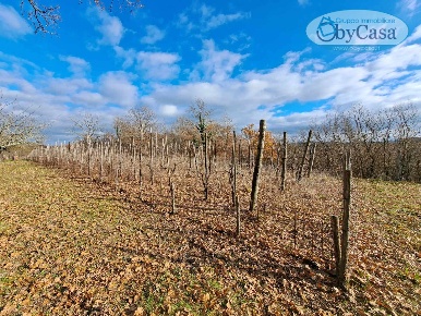 Foto Terreno agricolo in Oriolo Romano, Oriolo Romano di 10000 m²