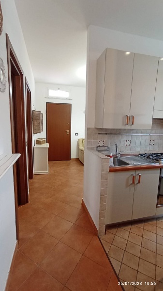 immagine annuncio 5 di 14