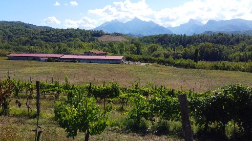 Foto Agriturismo a Fivizzano Gassano di 1200 m² con 30 locali in vendita