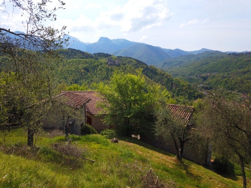 immagine annuncio 12 di 15