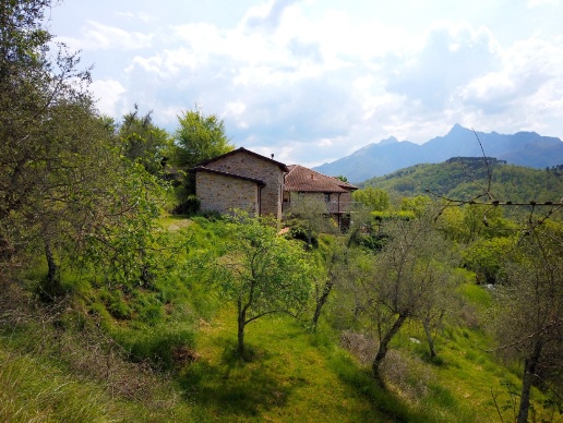 immagine annuncio 13 di 15