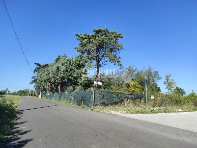 Foto Terreno residenziale a Termoli di 8690 m² in vendita