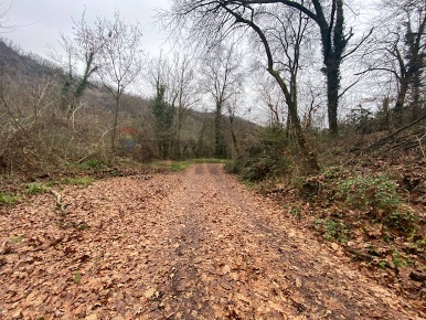 Foto Terreno agricolo a Imbersago di 15027 m² in vendita