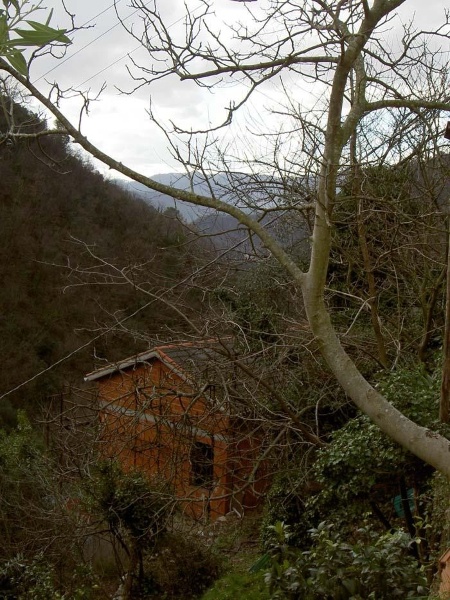 immagine annuncio 4 di 7