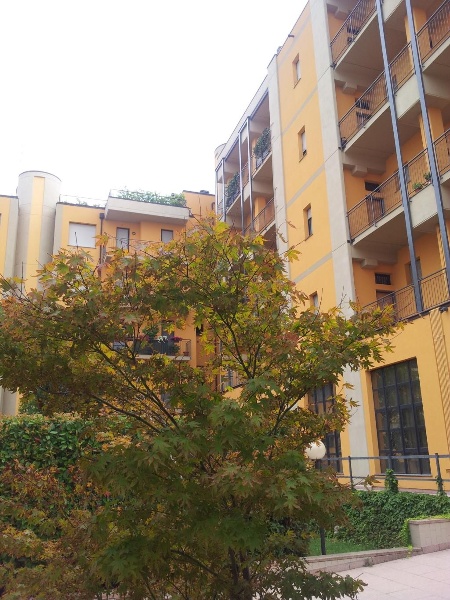 immagine annuncio 1 di 11