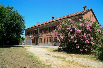 Foto Rustico in via Adele Alfieri, Magliano Alfieri Centro di 364 m²