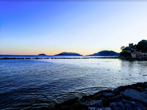 immagine annuncio 2 di 6