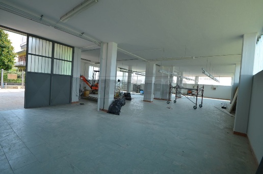 immagine annuncio 5 di 6