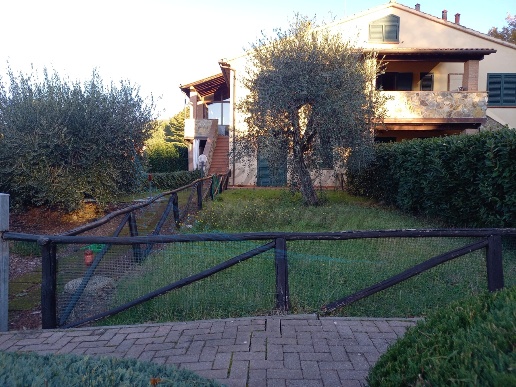 immagine annuncio 11 di 14