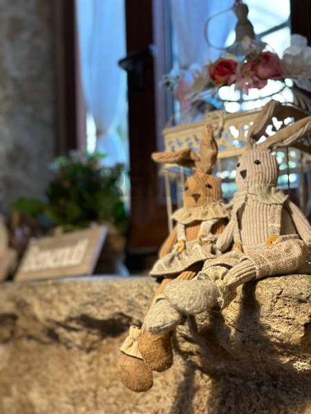 immagine annuncio 6 di 14